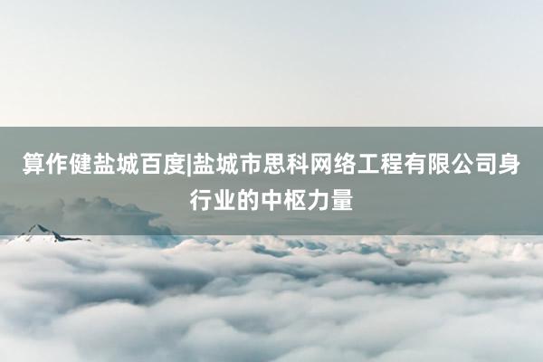算作健盐城百度|盐城市思科网络工程有限公司身行业的中枢力量